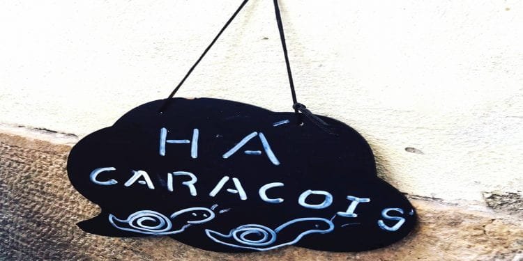 Un cartello nero con scritte bianche è appeso a un muro. Si legge "HÁ CARACÓIS" e presenta due lumache disegnate a mano nella parte inferiore. Il cartello è fissato al muro con un solo chiodo.