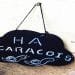 Un cartello nero con scritte bianche è appeso a un muro. Si legge "HÁ CARACÓIS" e presenta due lumache disegnate a mano nella parte inferiore. Il cartello è fissato al muro con un solo chiodo.