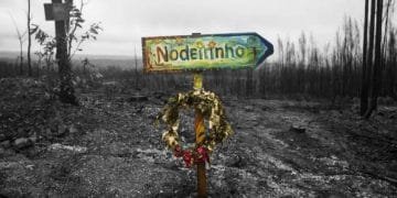 Un vivace cartello dipinto a mano con la parola "Nodelinho" e una freccia che punta a destra si trova in mezzo a una foresta carbonizzata, in bianco e nero e desolante, che ricorda le conseguenze Incendio Pedrógão. Una ghirlanda dai colori vivaci con foglie dorate e fiori rossi decora la base del cartello.