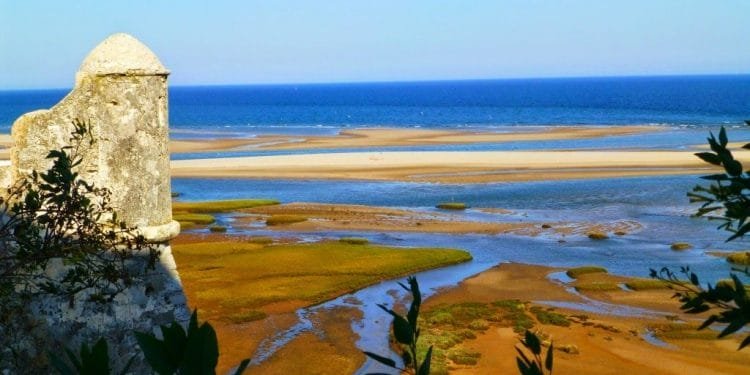Una vista panoramica di un paesaggio costiero con una torre di avvistamento in pietra sulla sinistra. La scena comprende spiagge sabbiose, piane di marea e macchie di vegetazione verde. L'oceano blu si estende all'orizzonte sotto un cielo azzurro e limpido. Le piante in primo piano incorniciano l'immagine.