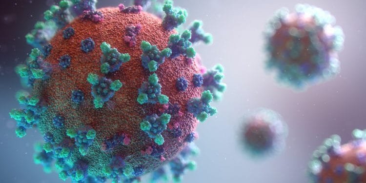 Un'immagine 3D ravvicinata di una particella virale. Il virus sferico ha una superficie strutturata di colore arancione ed è ricoperto di proteine spike di colore verde e viola. Lo sfondo è sfocato con ulteriori particelle virali che fluttuano in lontananza.