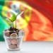 Una piccola pianta con foglie verdi cresce da un bicchiere pieno di monete, a simboleggiare la crescita finanziaria e gli investimenti. Lo sfondo presenta un'immagine sfocata della bandiera portoghese, con i colori rosso, verde e giallo visibili.