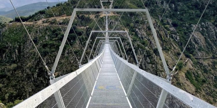 Un lungo ponte sospeso in metallo si estende su un profondo canyon boscoso con uno sfondo di aspre montagne e cieli nuvolosi. Il ponte, realizzato in grata di acciaio, ha telai alti sostenuti da cavi che si aggiungono al suo design architettonico moderno.