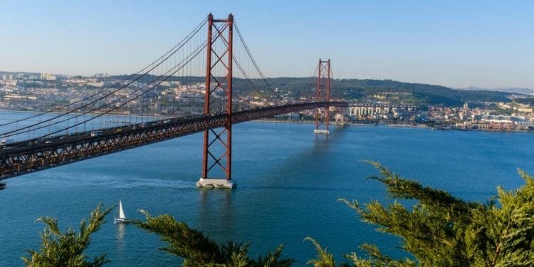 Un grande ponte sospeso rosso attraversa un ampio fiume blu e collega due aree urbane. Una piccola barca a vela galleggia sotto il ponte. Il fogliame verde è visibile in primo piano e sia il cielo che l'acqua sono limpidi e blu.