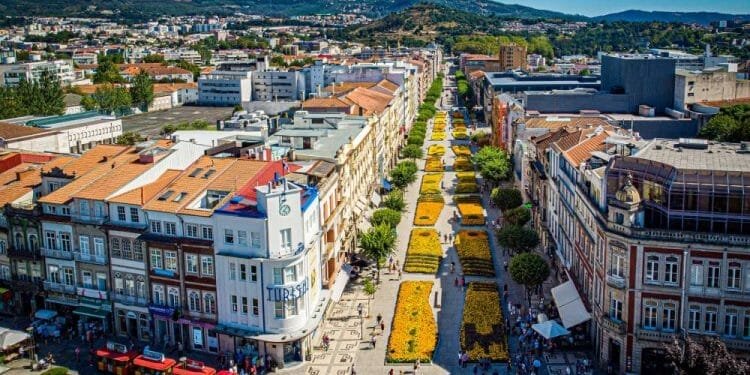 Una vivace veduta aerea di una città con una lunga strada pedonale fiancheggiata da fiori fiancheggiata da edifici storici con tetti di tegole rosse. Uno scenario scenografico di colline si estende in lontananza. Fiori gialli brillanti dominano il percorso centrale e si vedono persone passeggiare: una scena perfetta per investire in Portogallo.
