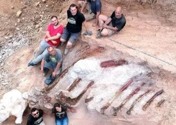 Un gruppo di sei persone, cinque uomini e una donna, posano attorno a uno scheletro di dinosauro parzialmente rinvenuto in uno scavo archeologico in Portogallo. Lo scheletro è sepolto in una trincea di terra, con sezioni visibili della colonna vertebrale e delle costole.