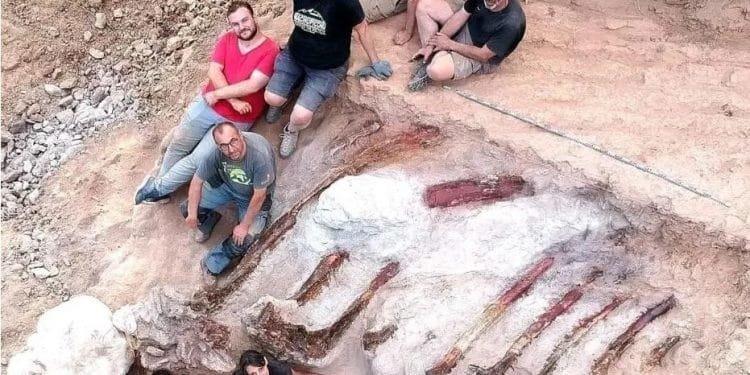 Un gruppo di sei persone, cinque uomini e una donna, posano attorno a uno scheletro di dinosauro parzialmente rinvenuto in uno scavo archeologico in Portogallo. Lo scheletro è sepolto in una trincea di terra, con sezioni visibili della colonna vertebrale e delle costole.