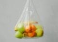 Un sacchetto di plastica trasparente pieno di frutta assortita, tra cui mele verdi e gialle, arance e una banana, è sospeso su un semplice sfondo grigio chiaro. I colori vivaci dei frutti sono visibili attraverso la plastica, evidenziando la necessità di prendere in considerazione iniziative di divieto sacchetti plastica.
