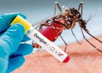 Una mano guantata tiene una provetta etichettata "Dengue" con un segno positivo controllato. Sullo sfondo, un primo piano di una zanzara, probabilmente una specie Aedes e comune in regioni come il Portogallo, è mostrato sulla pelle umana. La scena sottolinea l'importanza di innovazioni come il vaccino dengue nella lotta contro questo virus.