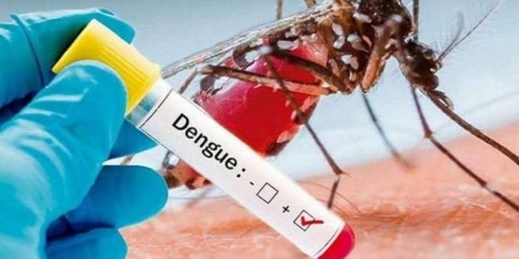 Una mano guantata tiene una provetta etichettata "Dengue" con un segno positivo controllato. Sullo sfondo, un primo piano di una zanzara, probabilmente una specie Aedes e comune in regioni come il Portogallo, è mostrato sulla pelle umana. La scena sottolinea l'importanza di innovazioni come il vaccino dengue nella lotta contro questo virus.