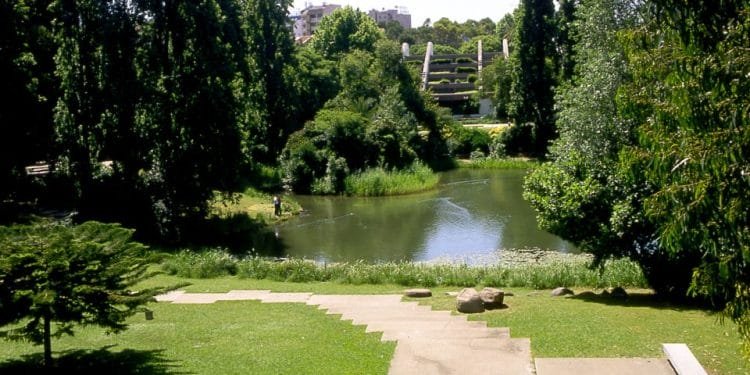 Una vista pittoresca di un parco caratterizzato da un tranquillo laghetto circondato da una vegetazione lussureggiante. Gli alberi incorniciano la scena, con una scalinata che scende alla zona erbosa vicino al laghetto. Si vede una persona pescare in riva all'acqua. Gli edifici fanno capolino tra gli alberi sullo sfondo, ricordando il fascino dei Giardini Gulbenkian.