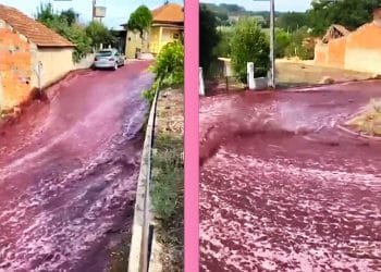 Un'immagine a due pannelli mostra una strada in una zona rurale inondata di liquido rosso, simile a un fiume vino rosso. Il pannello di sinistra mostra un'auto bianca parcheggiata in strada, mentre il pannello di destra si concentra sull'intenso flusso del liquido. Sullo sfondo si vedono case, recinzioni e vegetazione.