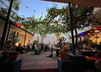 Un ristorante all'aperto con commensali in un cortile alberato, che ricorda gli spazi culturali Lisbona. Le luci colorate sono appese sopra, creando un'atmosfera calda e invitante. Varie piante e alberi in vaso circondano l'area salotto, migliorando l'atmosfera serena quando la sera cade sotto un cielo limpido.