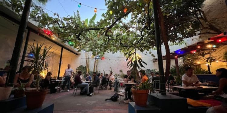 Un ristorante all'aperto con commensali in un cortile alberato, che ricorda gli spazi culturali Lisbona. Le luci colorate sono appese sopra, creando un'atmosfera calda e invitante. Varie piante e alberi in vaso circondano l'area salotto, migliorando l'atmosfera serena quando la sera cade sotto un cielo limpido.