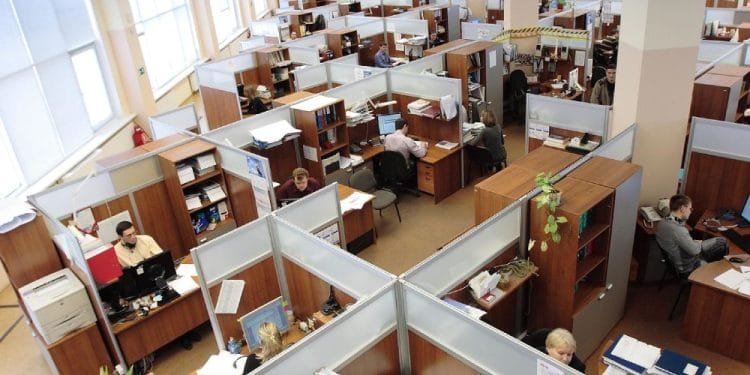 Uno spazio ufficio pieno di file di cubicoli, ciascuno occupato da dipendenti che lavorano alla propria scrivania. I cubicoli sono dotati di computer, forniture per ufficio e decorazioni. Nonostante la forte illuminazione proveniente dalle grandi finestre lungo un lato della stanza, le conversazioni spesso ruotano attorno allo stipendio Portogallo bassi.