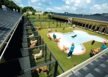 Un grande asilo nido per cani all'aperto con più aree giochi recintate. Molti cani giocano sull'erba e nuotano in una piscina a forma di osso. Diversi membri dello staff in camicia blu stanno supervisionando i cani in questa pensione cani in Portogallo. La struttura ha edifici lunghi e un cielo luminoso e soleggiato.