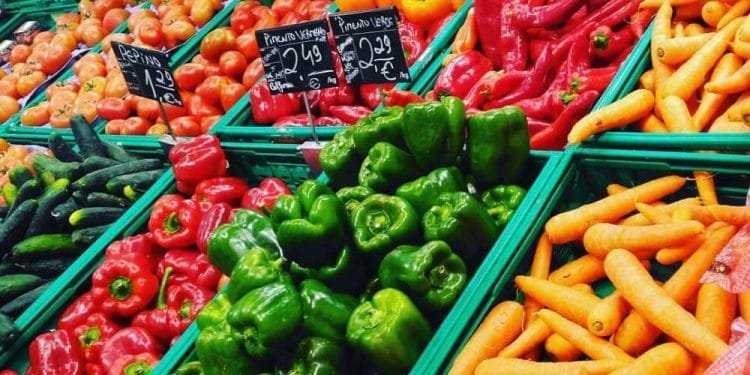 Varie verdure fresche vengono esposte in un negozio di alimentari. Peperoni verdi, rossi e gialli, pomodori, carote e cetrioli sono organizzati in cassette di plastica verdi. I cartellini dei prezzi riflettono la dicitura IVA beni essenziali sopra il prodotto.