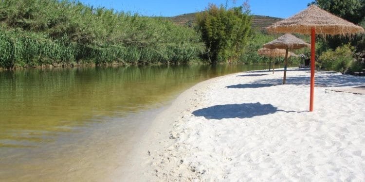 Una spiaggia tranquilla con sabbia bianca e un fiume calmo e poco profondo fiancheggiato da vegetazione. Numerosi ombrelloni di paglia forniscono ombra lungo la battigia. Il cielo è terso e azzurro, suggerendo una giornata soleggiata a 30 gradi. Sullo sfondo sono visibili le colline.