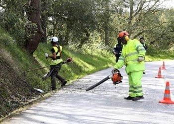 Quattro operai in equipaggiamento di sicurezza mantengono un'area erbosa lungo la strada. Uno usa un soffiatore per foglie, un altro taglia l'erba con un diserbante e due supervisionano nelle vicinanze. I coni di sicurezza fiancheggiano il bordo della strada e gli alberi sono sullo sfondo, sottolineando l'importanza dei diritti dei lavoratori portoghesi.