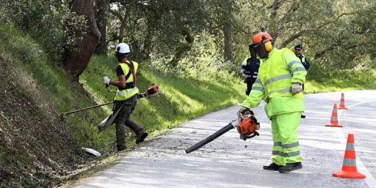 Quattro operai in equipaggiamento di sicurezza mantengono un'area erbosa lungo la strada. Uno usa un soffiatore per foglie, un altro taglia l'erba con un diserbante e due supervisionano nelle vicinanze. I coni di sicurezza fiancheggiano il bordo della strada e gli alberi sono sullo sfondo, sottolineando l'importanza dei diritti dei lavoratori portoghesi.