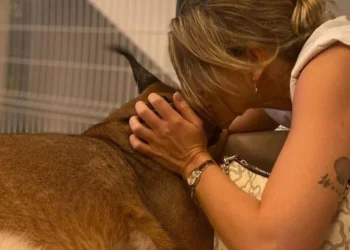 Una proprietaria si sporge in avanti, toccando delicatamente la fronte della sua lince del deserto che è il suo amato animale domestico. Le sue mani cullano amorevolmente la testa di Bores. Un tatuaggio è visibile sulla parte superiore del braccio. Sono all'interno, con una recinzione metallica sullo sfondo.