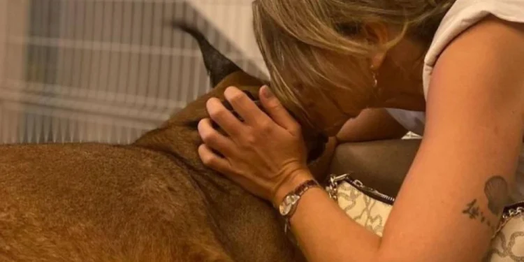 Una proprietaria si sporge in avanti, toccando delicatamente la fronte della sua lince del deserto che è il suo amato animale domestico. Le sue mani cullano amorevolmente la testa di Bores. Un tatuaggio è visibile sulla parte superiore del braccio. Sono all'interno, con una recinzione metallica sullo sfondo.