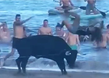 Un immagine di quanto successo a Terceira dove si vede una ragazza travolta da un toro sulla spiaggia. La ragazza viene lanciata in aria da un toro nero. Diversi spettatori in costume da bagno e su paddleboard sono sullo sfondo, a guardare mentre questa tragedia sfiorata durante la tradizionale "Tourada à corda".