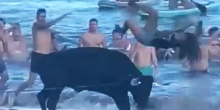 Un immagine di quanto successo a Terceira dove si vede una ragazza travolta da un toro sulla spiaggia. La ragazza viene lanciata in aria da un toro nero. Diversi spettatori in costume da bagno e su paddleboard sono sullo sfondo, a guardare mentre questa tragedia sfiorata durante la tradizionale "Tourada à corda".