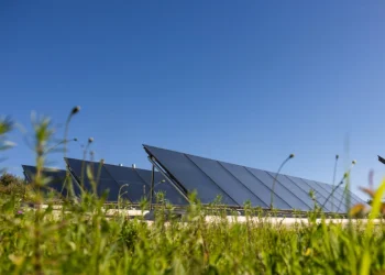 File di pannelli solari si trovano in un campo erboso sotto un cielo azzurro e limpido, catturando la luce solare per generare energia rinnovabile. Piccoli fiori di campo ed erbe sono visibili in primo piano, aggiungendo un tocco di natura a questa scena di energia solare in Portogallo.