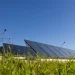 File di pannelli solari si trovano in un campo erboso sotto un cielo azzurro e limpido, catturando la luce solare per generare energia rinnovabile. Piccoli fiori di campo ed erbe sono visibili in primo piano, aggiungendo un tocco di natura a questa scena di energia solare in Portogallo.