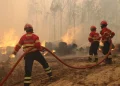 Tre pompieri in uniformi e caschi rossi e gialli lavorano per spegnere un incendio scoppiato a Madeira lo scorso 14 agosto. Stanno usando delle manichette per spruzzare acqua su tronchi e vegetazione in fiamme, circondati da fumo e fiamme. La scena rispecchia l'intensità dell'incendio rendendo la situazione ancora più critica.