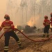 Tre pompieri in uniformi e caschi rossi e gialli lavorano per spegnere un incendio scoppiato a Madeira lo scorso 14 agosto. Stanno usando delle manichette per spruzzare acqua su tronchi e vegetazione in fiamme, circondati da fumo e fiamme. La scena rispecchia l'intensità dell'incendio rendendo la situazione ancora più critica.