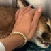 La mano della proprietaria, accarezza dolcemente Bores la lince del deserto morta dopo il sequestro da parte delle autorità a Madeira. L'animale con il pelo marrone e macchie nere sul muso, era una Lince del Deserto addomesticata.