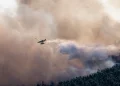 Un aereo antincendio rilascia acqua su un incendio boschivo che si sta diffondendo in una fitta foresta nel nord del Portogallo. Un fumo denso riempie il cielo e una parte della volta degli alberi è visibile sotto le nuvole di fumo che si sollevano dall'incendio.
