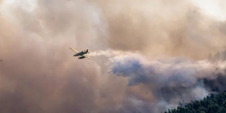 Un aereo antincendio rilascia acqua su un incendio boschivo che si sta diffondendo in una fitta foresta nel nord del Portogallo. Un fumo denso riempie il cielo e una parte della volta degli alberi è visibile sotto le nuvole di fumo che si sollevano dall'incendio.