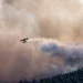 Un aereo antincendio rilascia acqua su un incendio boschivo che si sta diffondendo in una fitta foresta nel nord del Portogallo. Un fumo denso riempie il cielo e una parte della volta degli alberi è visibile sotto le nuvole di fumo che si sollevano dall'incendio.