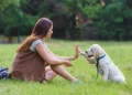 Una donna con lunghi capelli castani è seduta sull'erba dopo essere stata a passeggio con il cane al guinzaglio rispettando le regole. La donna sorride mentre fa un high five a un cucciolo di Labrador bianco. Il cane indossa un collare blu e un guinzaglio. Alberi e vegetazione sono visibili sullo sfondo.