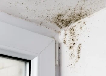 Macchie da eliminare di muffa visibili nell'angolo superiore di una stanza di casa, dove il soffitto e le pareti si incontrano vicino a una finestra. La muffa si diffonde sulle superfici bianche, suggerendo danni causati dall'umidità o dall'acqua. Mantenere un "Ambiente Sano" è fondamentale per prevenire ulteriori problemi nella tua casa.