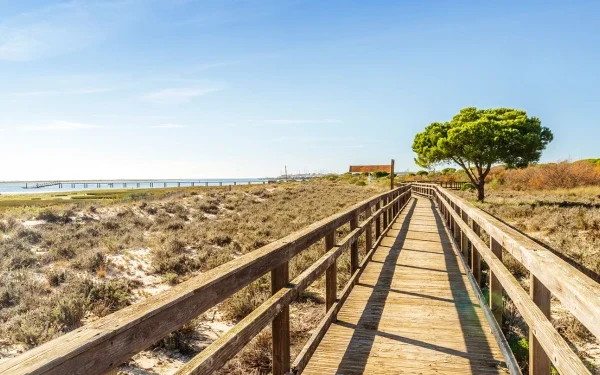 Una passerella di legno, che ricorda una pista ciclabile, si snoda attraverso un paesaggio sabbioso ed erboso verso una spiaggia e un molo lontani vicino a Olhão a Faro. Un albero solitario si erge sulla destra sotto un cielo azzurro e terso.