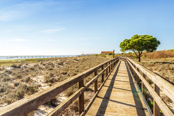 Una passerella di legno, che ricorda una pista ciclabile, si snoda attraverso un paesaggio sabbioso ed erboso verso una spiaggia e un molo lontani vicino a Olhão a Faro. Un albero solitario si erge sulla destra sotto un cielo azzurro e terso.
