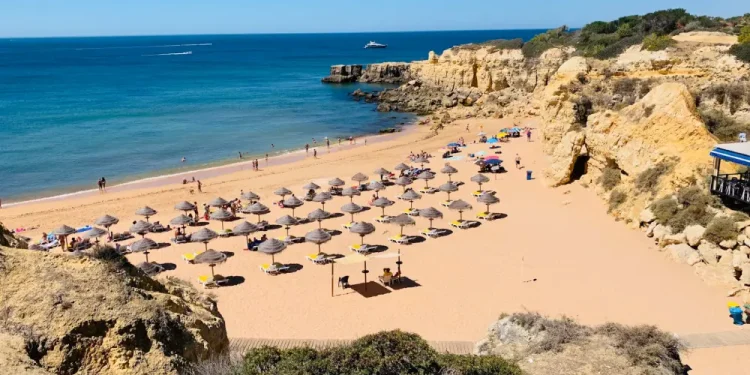 Una vista panoramica di una spiaggia sabbiosa durante l'inverno in Portogallo con file di ombrelloni e lettini prendisole. La gente si gode le spiagge calde, mentre l'oceano azzurro e limpido si estende fino all'orizzonte. Scogliere rocciose incorniciano lo sfondo sotto un luminoso cielo invernale.
