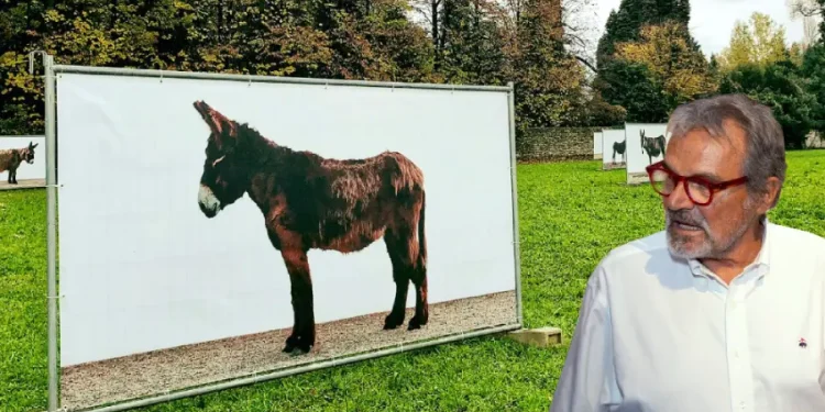 Oliviero Toscani con una camicia bianca e occhiali rossi sovrapposto ad un'area erbosa con un'esposizione fotografica degli Asini di Miranda in Portogallo, mentre alberi e altre opere d'arte popolano lo sfondo panoramico che ricorda.