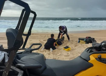 Su una spiaggia sabbiosa, due italiani salvano una donna dalle onde del mare. Nelle vicinanze ci sono attrezzature di salvataggio, una borsa gialla e un fuoristrada. Le onde dell'oceano si infrangono sullo sfondo sotto un cielo nuvoloso.