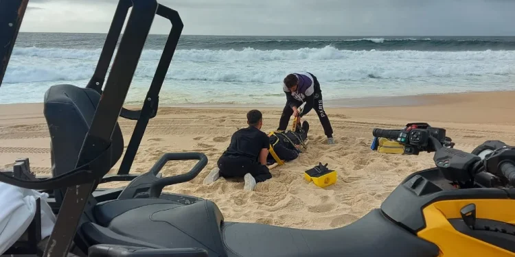 Su una spiaggia sabbiosa, due italiani salvano una donna dalle onde del mare. Nelle vicinanze ci sono attrezzature di salvataggio, una borsa gialla e un fuoristrada. Le onde dell'oceano si infrangono sullo sfondo sotto un cielo nuvoloso.