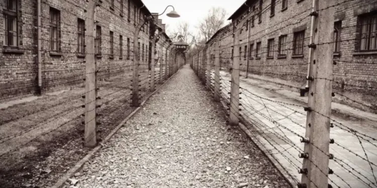 L'immagine in bianco e nero di Auschwitz , dove vennero deportati i portoghesi durante l'olocausto, cattura uno stretto sentiero di ghiaia fiancheggiato da recinti di filo spinato e edifici in mattoni, che conduce sinistramente a una torre di guardia.