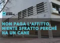L'esterno di un edificio moderno presenta una sovrapposizione di testo in italiano che recita: non paga affitto, niente sfratto perché ha un cane.