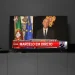 Nella Giornata in memoria delle vittime del Covid in Portogallo un televisore trasmette un servizio del Tg in cui compare il Presidente della repubblica Macelo Rebelo de Sousa, accanto alle bandiere del Portogallo e dell'UE. Sullo schermo si legge "Pandemia COVID-19" e "Marcelo em direto". È presente un interprete del linguaggio dei segni.