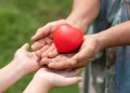 Primo piano di due mani di adulti a simboleggiare la guida alla donazione del 1% del IRS e due mani di bambini che tengono insieme un oggetto rosso a forma di cuore a simboleggiare la consignação. Sotto su uno sfondo verde sfocato.