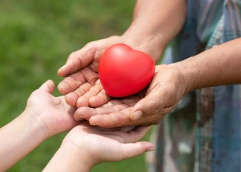 Primo piano di due mani di adulti a simboleggiare la guida alla donazione del 1% del IRS e due mani di bambini che tengono insieme un oggetto rosso a forma di cuore a simboleggiare la consignação. Sotto su uno sfondo verde sfocato.