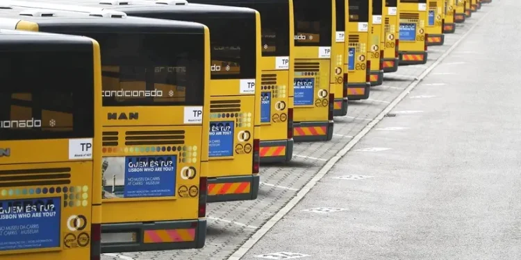 Una fila di autobus gialli parcheggiati in un parcheggio Carris, tutti allineati nella stessa direzione durante uno sciopero generale di autobus a Lisbona. Gli autobus hanno cartelli e marcature sul retro, che ne evidenziano l'uniformità e la quantità. L'area circostante è asfaltata, ogni autobus è dotato di finestrini posteriori e bocchette di scarico.